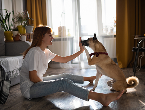 IMAGE: woman sitting on floor inside home giving dog a high five.
