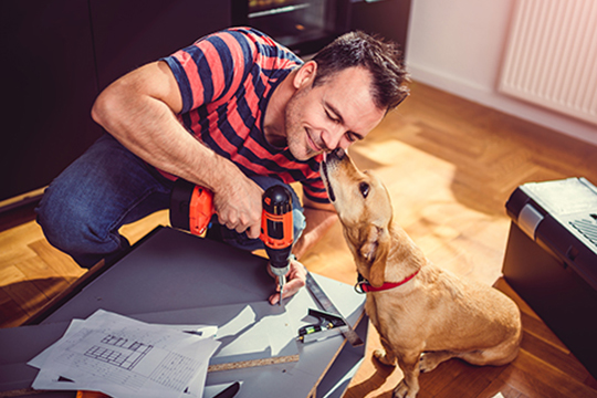 IMAGE: Man working on home improvement project with dog giving kisses