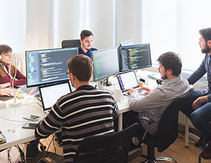 IMAGE: Employees in an office coding